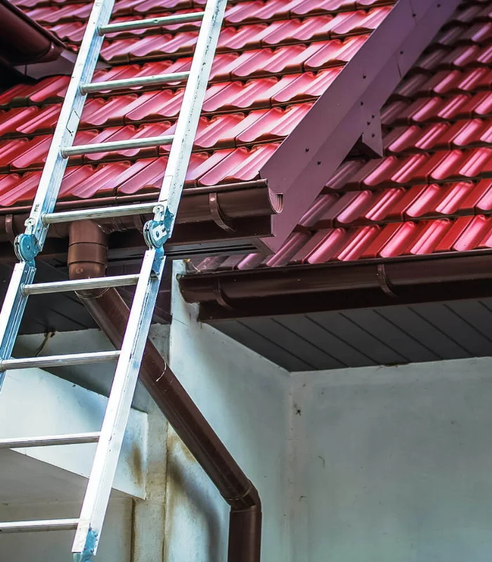 dex-czyszczenie-dachu-elewacji